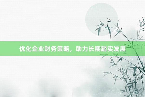 优化企业财务策略，助力长期踏实发展